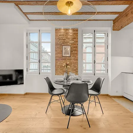 Apartmán Frere Jacques - Appt Situe Plein Centre Toulouse