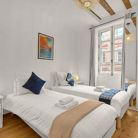 Apartmán Frere Jacques - Appt Situe Plein Centre Toulouse
