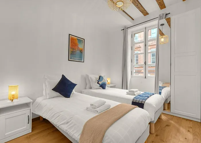 Apartamento Frère Jacques - Appt Situé Plein Centre Toulouse