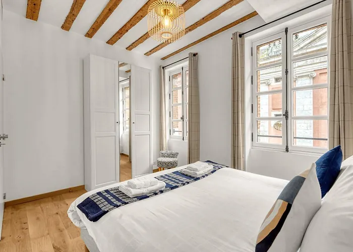 Frere Jacques - Appt Situe Plein Centre Toulouse